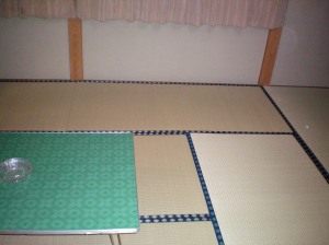 Tatami mat floor/sleeping area